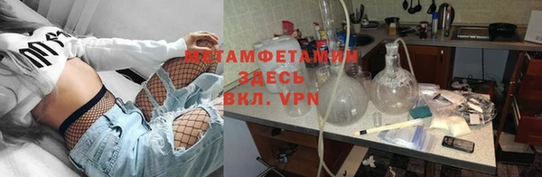 трава Аркадак