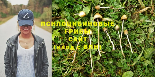 крисы Арсеньев