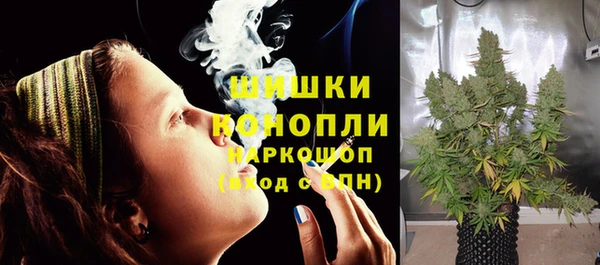 apvp Пестово
