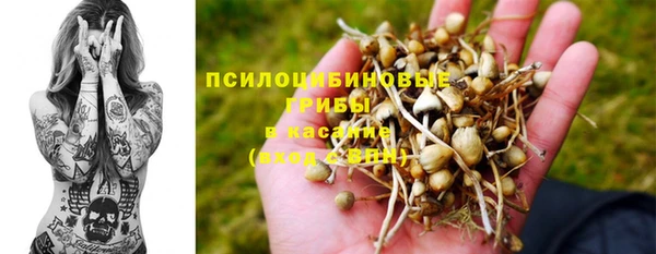 трава Аркадак